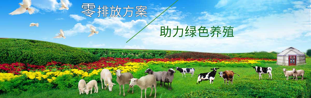 &#20113;&#39030;&#38598;&#22242;&#51;&#49;&#49;&#56;