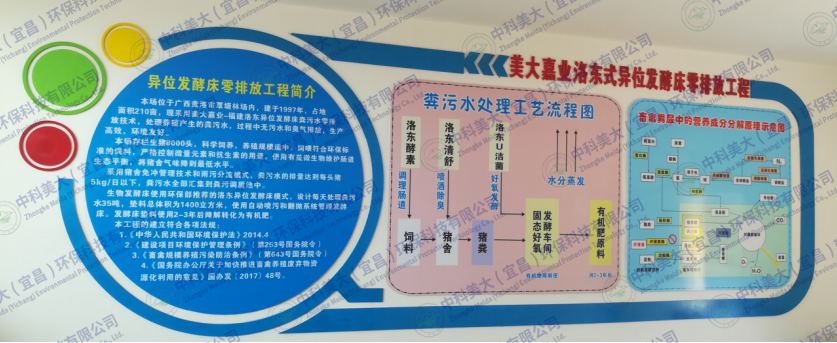 &#20113;&#39030;&#38598;&#22242;&#51;&#49;&#49;&#56;