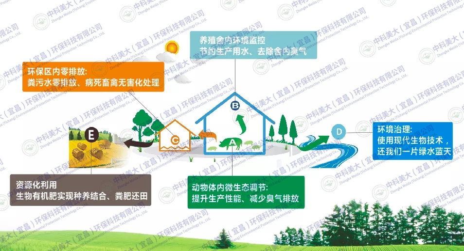 &#20113;&#39030;&#38598;&#22242;&#51;&#49;&#49;&#56;